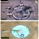 A comparison of the image tweeted by Trump and a simulation of USA 224’s view from orbit.